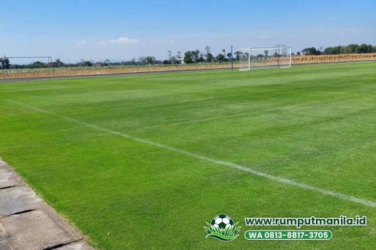 Rumput Lapangan Bola Kabupaten Bogor untuk Lapangan Desa & Sekolah
