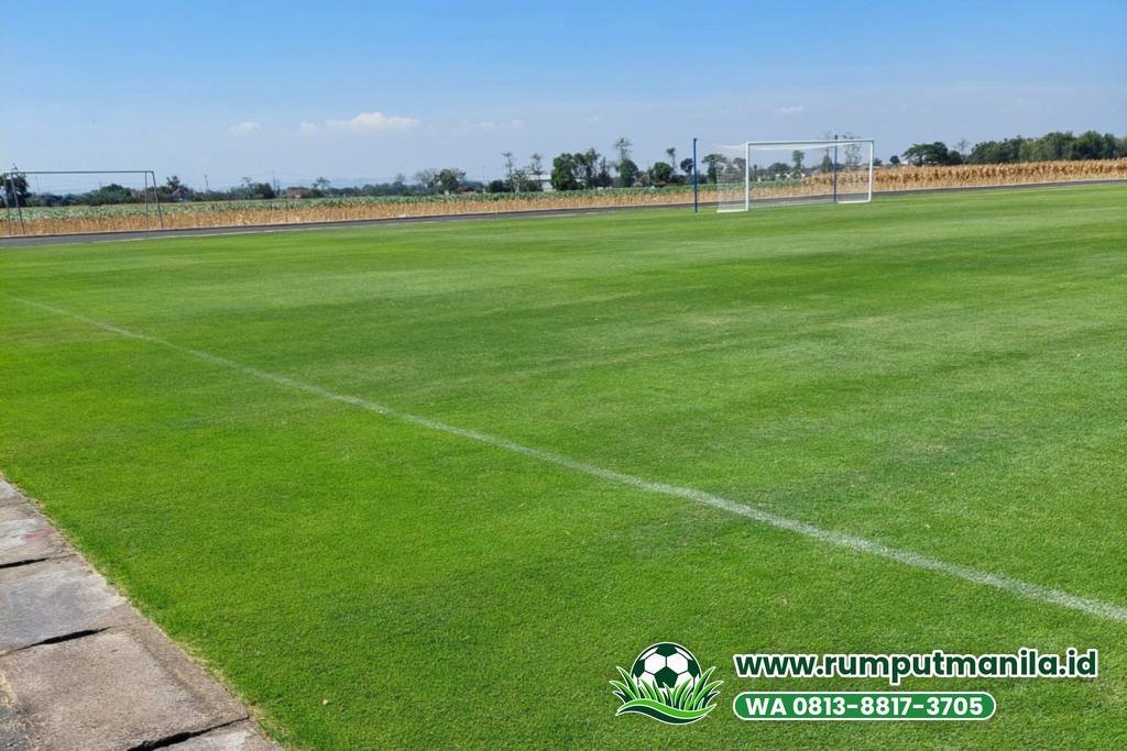 Lapangan bola berumput zoysia dengan saluran air di tepi lapangan, contoh untuk Kabupaten Bogor