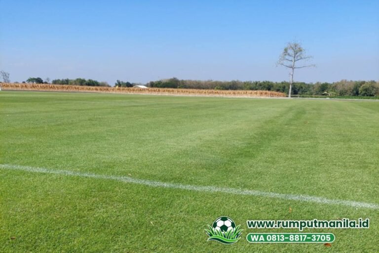 Rumput Lapangan Bola Kabupaten Mojokerto: Belajar dari Stadion Mojosari